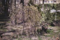 Самое время - гулять в нашем Георгиевском парке