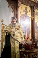 Праздник Входа Господня во Иерусалим