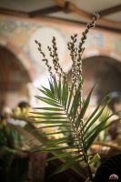 Праздник Входа Господня во Иерусалим