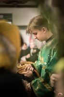 Праздник Входа Господня во Иерусалим