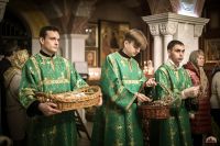 Праздник Входа Господня во Иерусалим