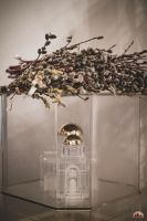 Праздник Входа Господня во Иерусалим