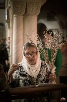 Праздник Входа Господня во Иерусалим