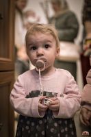 Праздник Входа Господня во Иерусалим