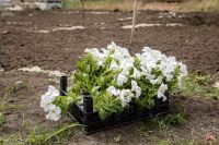 Сердечно благодарим каждого, кто трудился вместе с нами!