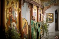 Поздравляем с праздником Святой Троицы!