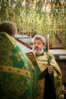 Поздравляем с праздником Святой Троицы!