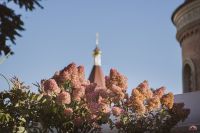 Осенние краски