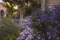 Осенние краски