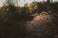 Осенние краски