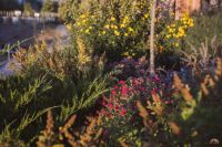 Осенние краски