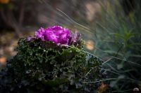 В Георгиевский парк приходит осень 