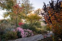 В Георгиевский парк приходит осень 