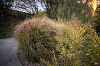 В Георгиевский парк приходит осень 