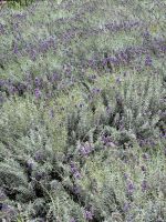 Экскурсия для учеников 3Б класса 115-й школы