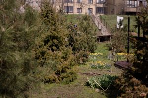 Радуемся весне!