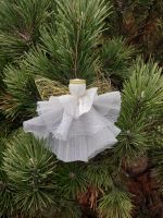 Посиделки «Накануне Рождества»