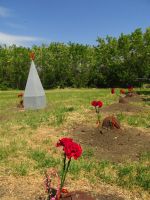 Поездка по местам боев