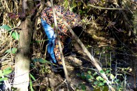 Уборка балки Рябинина