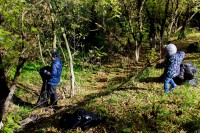 Уборка балки Рябинина