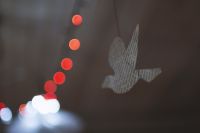 Литературный вечер