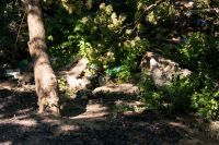 Балка Рябинина