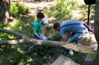 Балка Рябинина