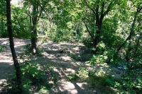 Балка Рябинина