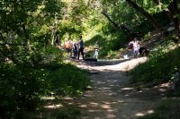 Балка Рябинина