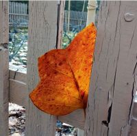 Вечер Искусств