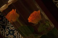 Вечер Искусств