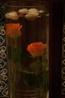 Вечер Искусств