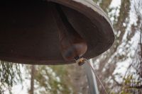 Поездка в Таганрог