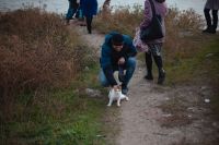 Поездка в Таганрог