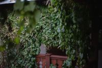 Поездка в Таганрог