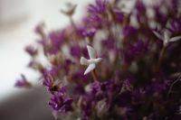 Поездка в Таганрог