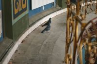 Поездка молодежного клуба Парикия в Новочеркасск