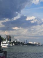 Прогулка в Левобережном парке