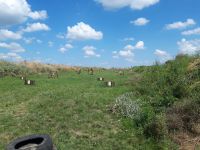 Совместные мероприятия патриотического центра и молодежного движения