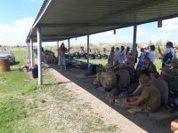 Совместные мероприятия патриотического центра и молодежного движения