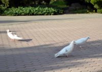 ВЫ ПОМОГЛИ!