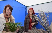 ВЫ ПОМОГЛИ!