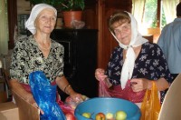 Посещение подопечных