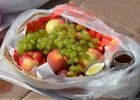 Посещение подопечных