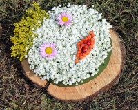 Праздник в честь годовщины школы церковных звонарей и открытия школы флористики