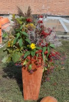 Праздник в честь годовщины школы церковных звонарей и открытия школы флористики