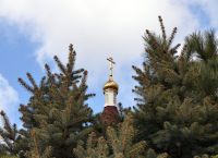 Благотворительная акция