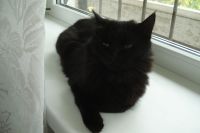 Выставка «Всякое дыхание да хвалит Господа»