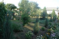 Итоги работы сестричества за 2017 год