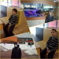 Итоги работы сестричества за 2017 год